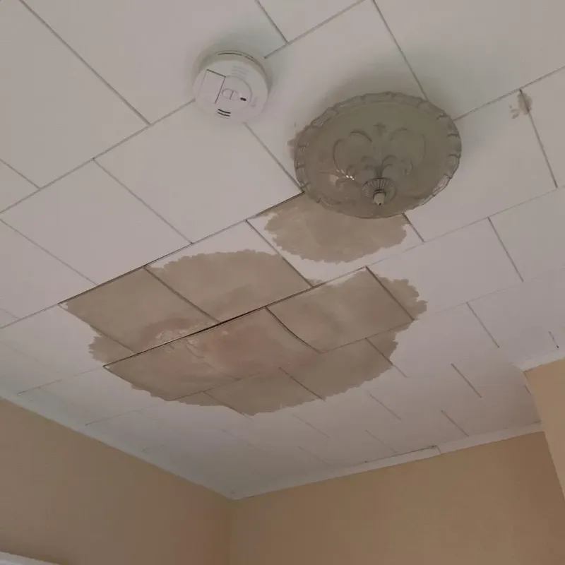 Ceiling Water Damage Repair in Lake Pleasant, NY