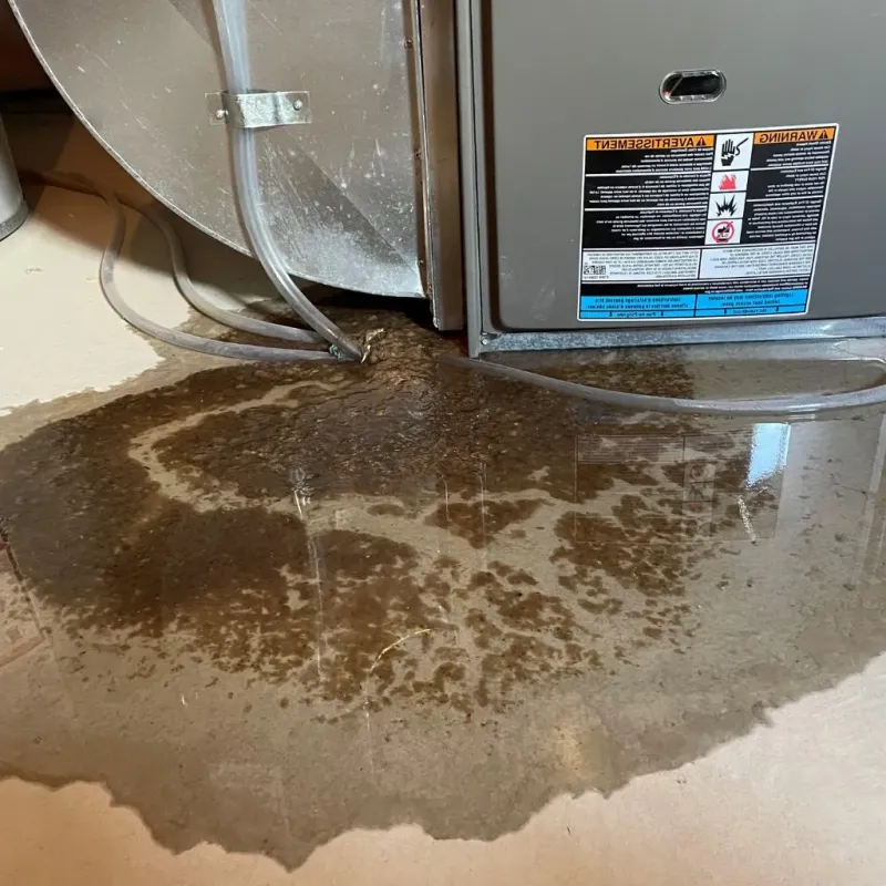 Pipe Burst and Leak Restoration in Lake Pleasant, NY